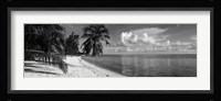 Palm trees on the beach, Matira Beach, Bora Bora, French Polynesia Fine Art Print