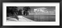 Palm trees on the beach, Matira Beach, Bora Bora, French Polynesia Framed Print