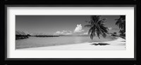 Moana Beach (black and white), Bora Bora, Tahiti, French Polynesia Fine Art Print