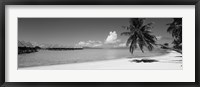 Moana Beach (black and white), Bora Bora, Tahiti, French Polynesia Framed Print