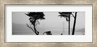 Golden Gate Bridge Through the Fog (black & white) Fine Art Print