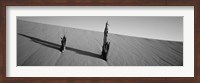 Dead Pines at Coral Pink Sand Dunes State Park, Utah (black & white) Fine Art Print