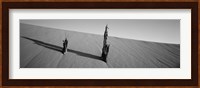 Dead Pines at Coral Pink Sand Dunes State Park, Utah (black & white) Fine Art Print