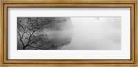 Reflection of trees in a lake, Lake Vesuvius, Wayne National Forest, Ohio, USA Fine Art Print