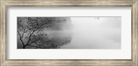 Reflection of trees in a lake, Lake Vesuvius, Wayne National Forest, Ohio, USA Fine Art Print