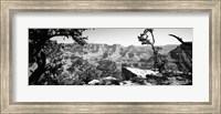 Mather Point in black and white, South Rim, Grand Canyon National Park, Arizona Fine Art Print