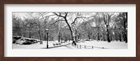Central Park in Snow Fine Art Print