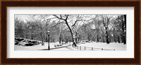Central Park in Snow Fine Art Print