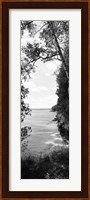 Trees at the lakeside in black and white, Lake Michigan, Wisconsin Fine Art Print
