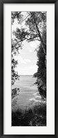 Trees at the lakeside in black and white, Lake Michigan, Wisconsin Fine Art Print