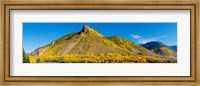 Aspen trees on mountain, Anvil Mountain, Million Dollar Highway, Silverton, Colorado, USA Fine Art Print