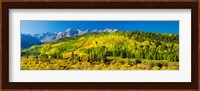 Aspen trees on mountains, Uncompahgre National Forest, Colorado Fine Art Print