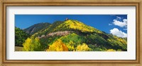 Aspen trees on mountain, Needle Rock, Gold Hill, Uncompahgre National Forest, Telluride, Colorado, USA Fine Art Print