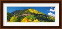 Aspen trees on mountain, Needle Rock, Gold Hill, Uncompahgre National Forest, Telluride, Colorado, USA Fine Art Print