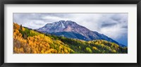 Trees on mountains, San Juan National Forest, Colorado, USA Fine Art Print