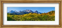 Uncompahgre National Forest, Colorado Fine Art Print