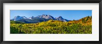 Uncompahgre National Forest, Colorado Fine Art Print