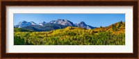 Uncompahgre National Forest, Colorado Fine Art Print