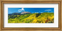 Aspen trees with mountain in the background, Sunshine Peak, Uncompahgre National Forest, near Telluride, Colorado, USA Fine Art Print