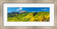 Aspen trees with mountain in the background, Sunshine Peak, Uncompahgre National Forest, near Telluride, Colorado, USA Fine Art Print