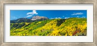 Aspen trees with mountain in the background, Sunshine Peak, Uncompahgre National Forest, near Telluride, Colorado, USA Fine Art Print