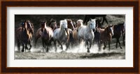 Renegades Fine Art Print