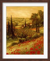 Toscano Valley II Fine Art Print