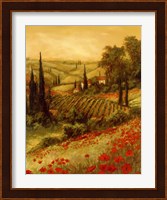 Toscano Valley II Fine Art Print