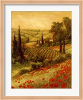 Toscano Valley II Fine Art Print