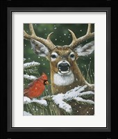 Deer With Cardinal Fine Art Print