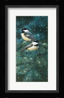 Chickadees Fine Art Print