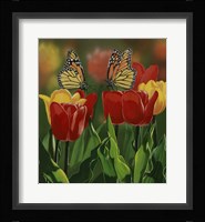 Monarchs And Tulips Fine Art Print