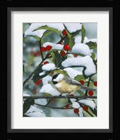 Chickadees And Holly Branch Fine Art Print