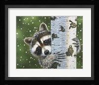Peek-A-Boo Raccoon Fine Art Print