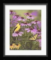 Butterfly & Finch Amongst Flowers Fine Art Print