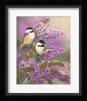 Lilacs and Chickadees Fine Art Print
