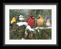 Backyard Birds On Snowy Branch Fine Art Print
