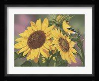 Goldfinch And Sunflowers Fine Art Print