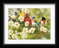 Songbirds On a Flowering Branch Fine Art Print
