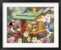 Backyard Birds Spring Feast Fine Art Print