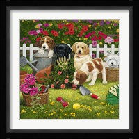 Garden Puppies Framed Print