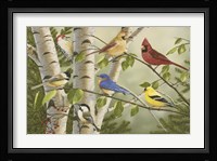 Summer Friends Fine Art Print