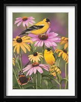 Golden Finches Fine Art Print