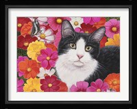 Phoebe Fine Art Print