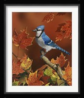 Fall Colors Fine Art Print