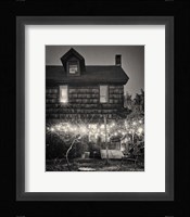 Grape Vines Fine Art Print