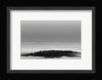 Invasives Fine Art Print