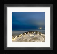 Yer Blues Fine Art Print