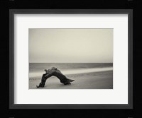 Unititled Fine Art Print