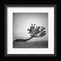 Field and Stream Fine Art Print